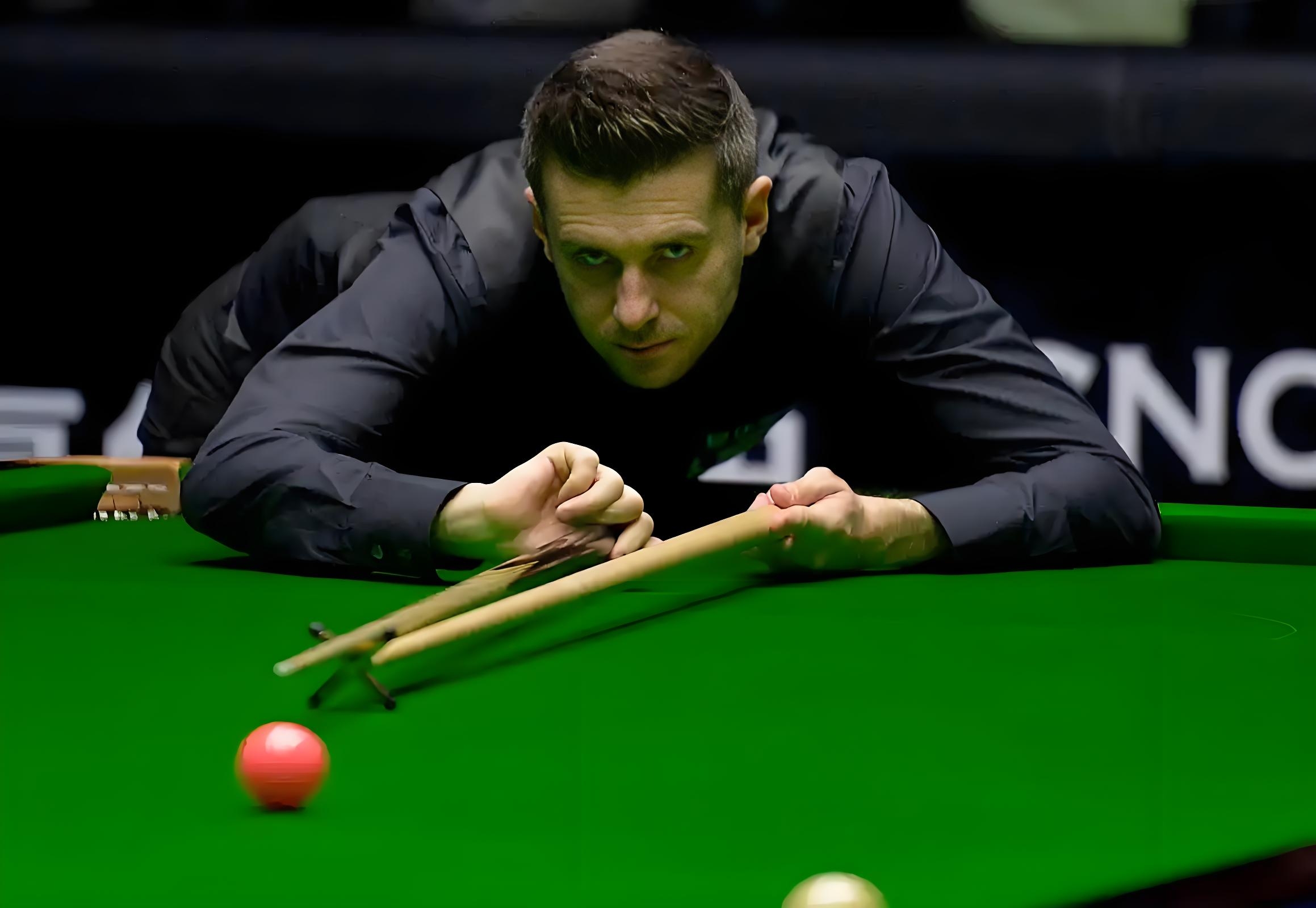 伊劳拉不仅 伊劳拉不仅